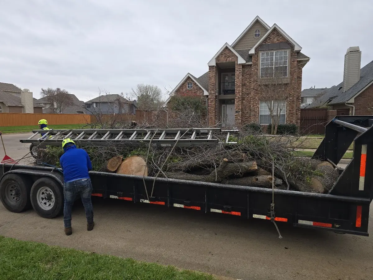 Expert Lot Clearing with proper safety equipment in Penrose